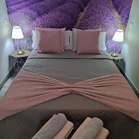 Center Flat Near The Natural Elements Apartment *